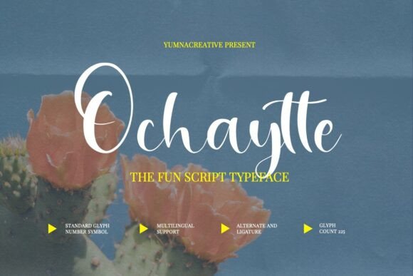 Ochaytte Font: A Playful Script for Modern Web Design
