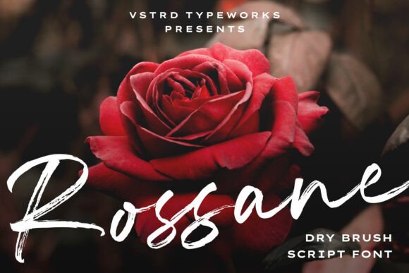Rossane Review: A Designer's Take on This Elegant Script